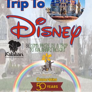 Disney Raffle Ticket